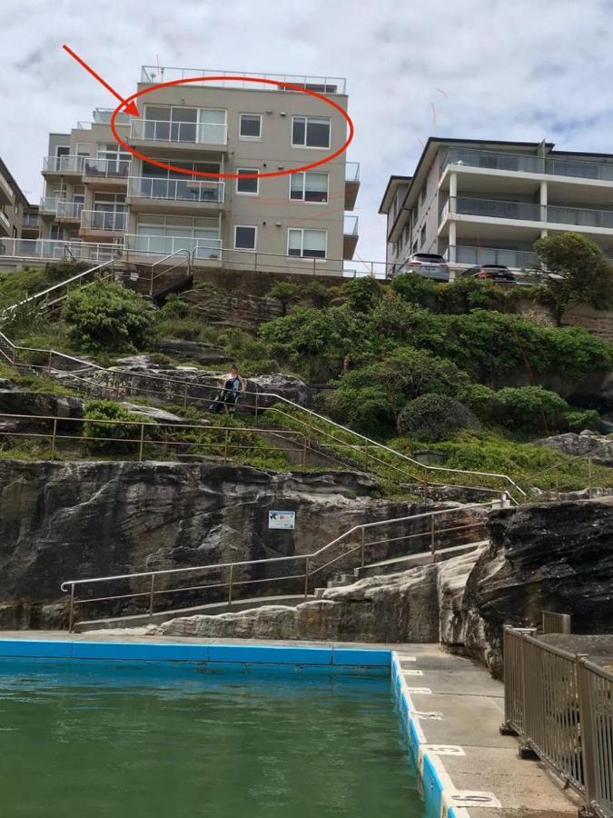 Manly Waterfront Beach Stay Queenscliff Esterno foto